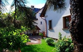 Hortensja